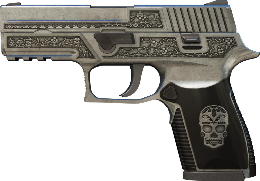 Preview image 1 of P250 | Cartel (Battle-Scarred)