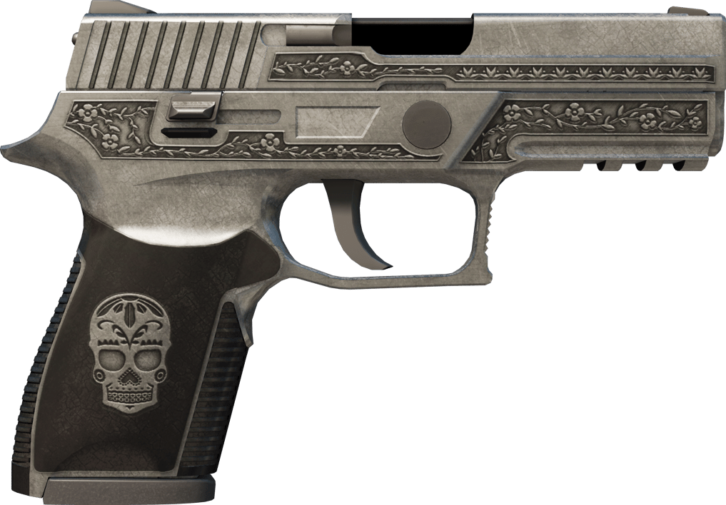 Preview image 2 of P250 | Kartel (Görevde Kullanılmış)