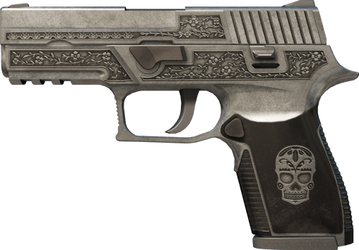 P250 | Cartel (FT - Qua thực chiến)