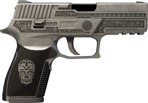 Preview image 2 of P250 | Cartel (MW - Trầy ít)