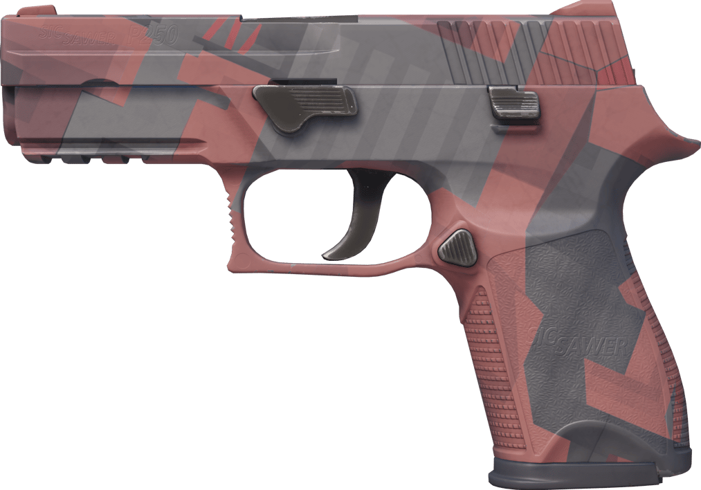 Preview image 1 of P250 | Constructivist (Nuovo di fabbrica)