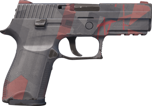 Preview image 2 of P250 | Constructivist (Testato sul campo)