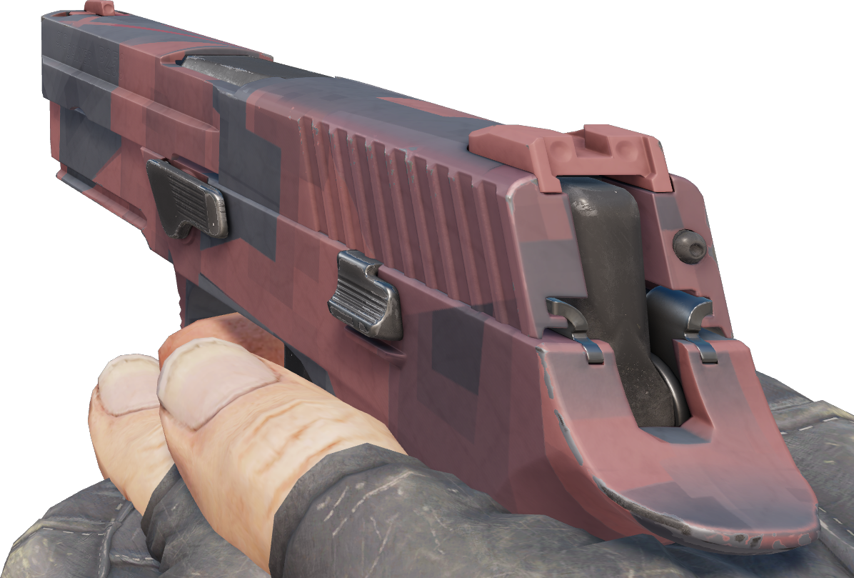 Preview image 3 of P250 | Constructiviste (Très peu usée)