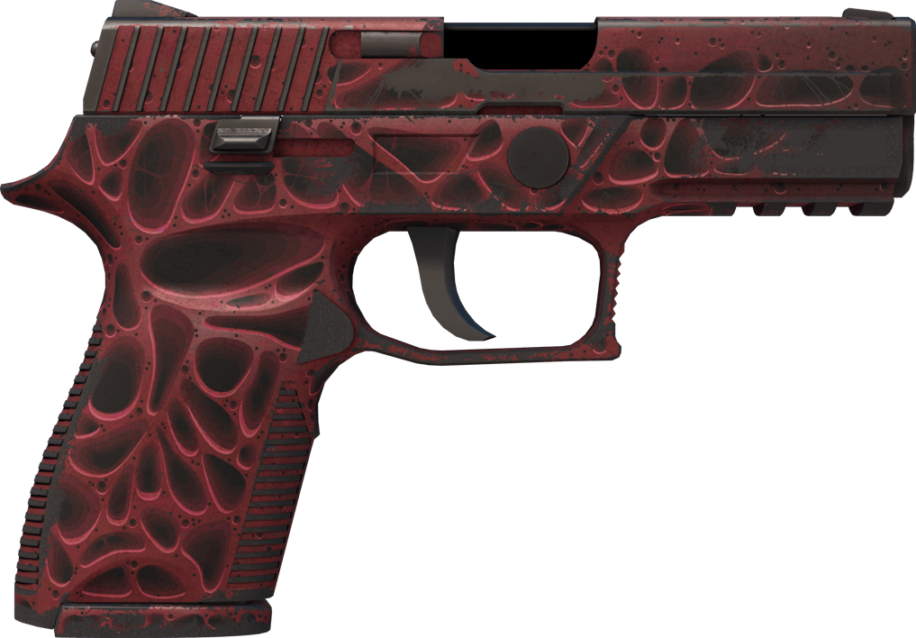 Preview image 2 of P250 | Zanieczyszczenie (po ciężkich walkach)