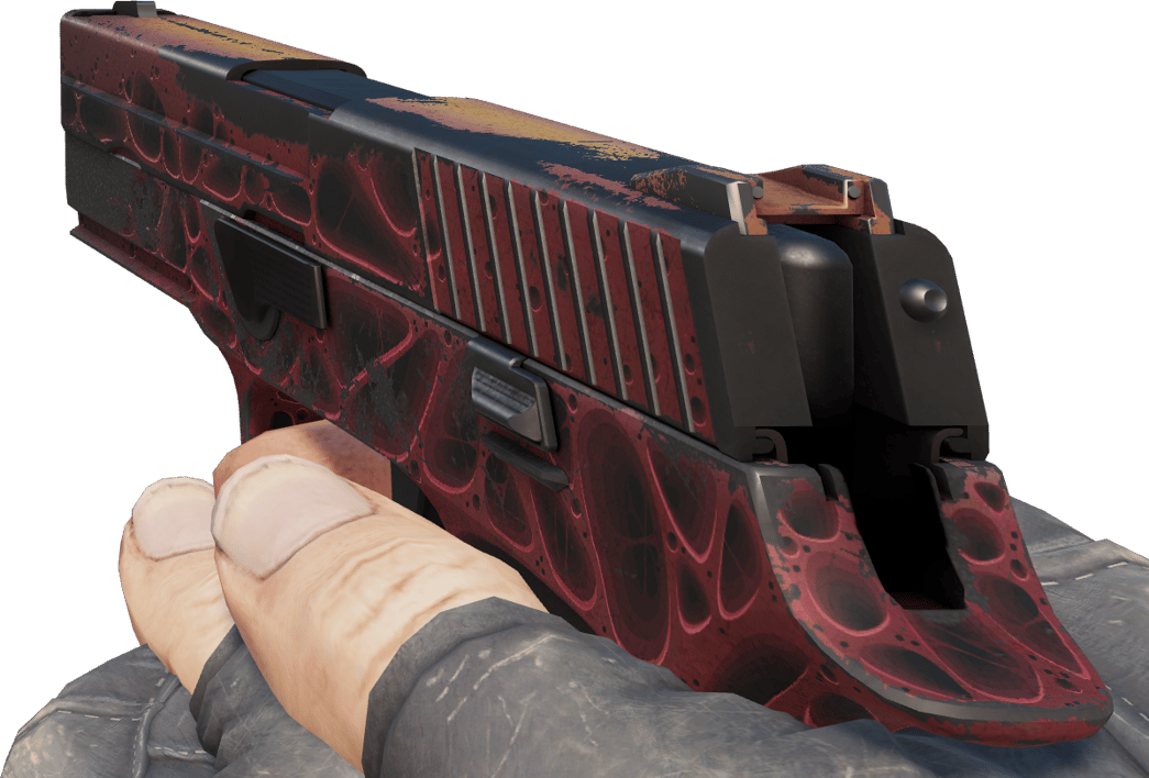 Preview image 3 of P250 | Zanieczyszczenie (po ciężkich walkach)