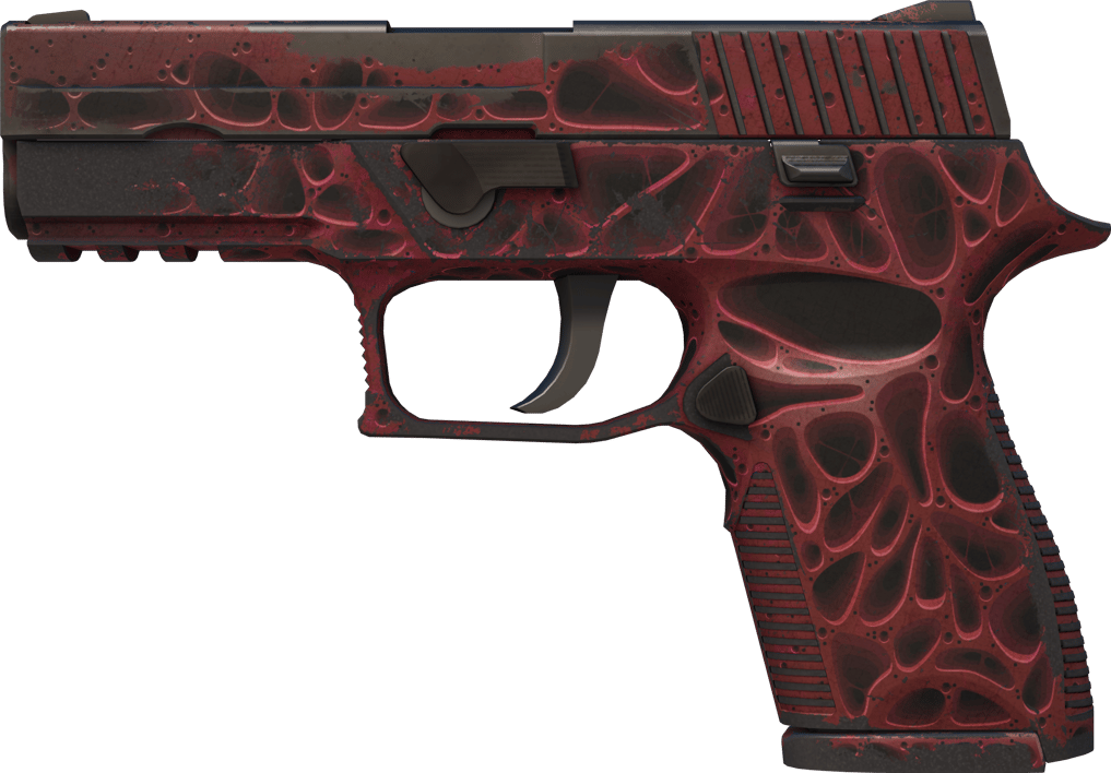 Preview image 1 of P250 | Zanieczyszczenie (po ciężkich walkach)