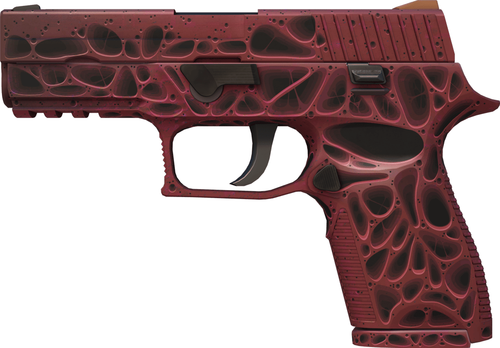 Preview image 1 of P250 | 侵蝕朽化 (全新出廠)