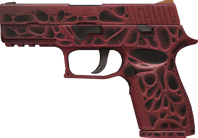 P250 | Contaminant P250 | Contaminant image