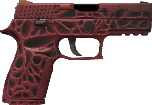 Preview image 2 of P250 | 오염 (현장에서 쓰인)