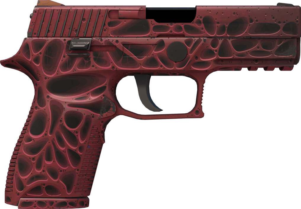 Preview image 2 of P250 | 侵蝕朽化 (戰場實測)