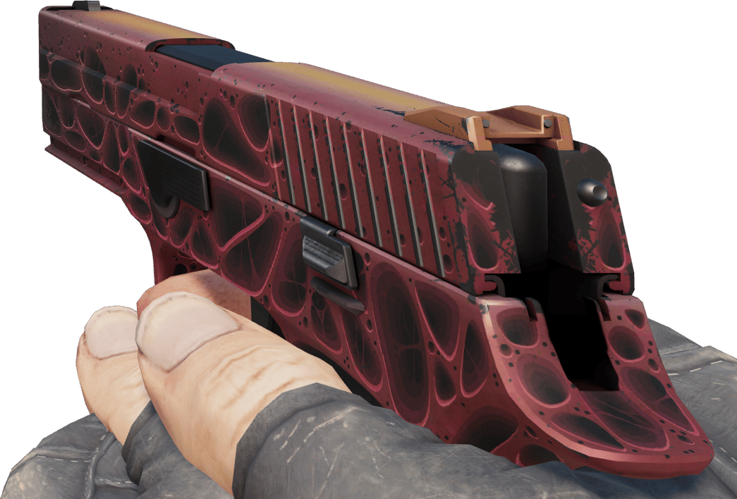 Preview image 3 of P250 | 侵蝕朽化 (戰場實測)