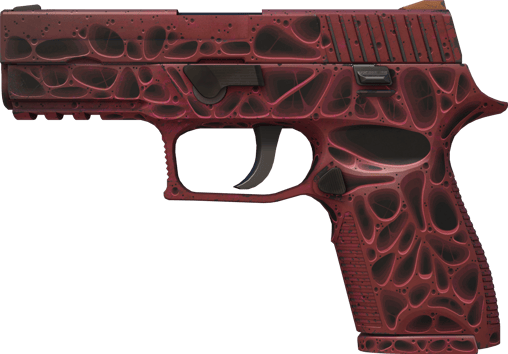 P250 | 오염 (현장에서 쓰인)