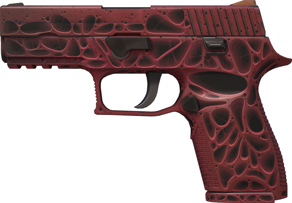 Preview image 1 of P250 | 侵蝕朽化 (戰場實測)