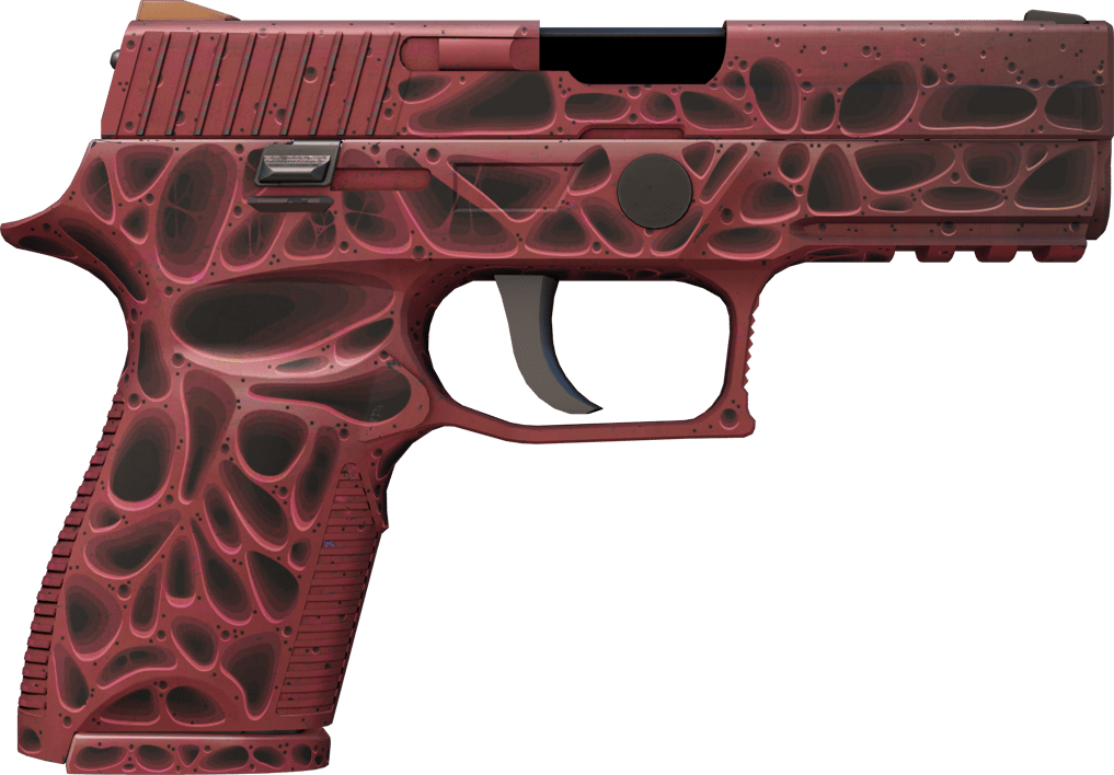 Preview image 2 of P250 | Contaminant (Com Pouco Uso)