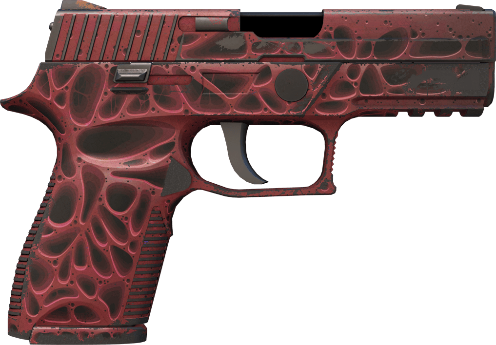 Preview image 2 of P250 | 侵蝕朽化 (重度磨損)