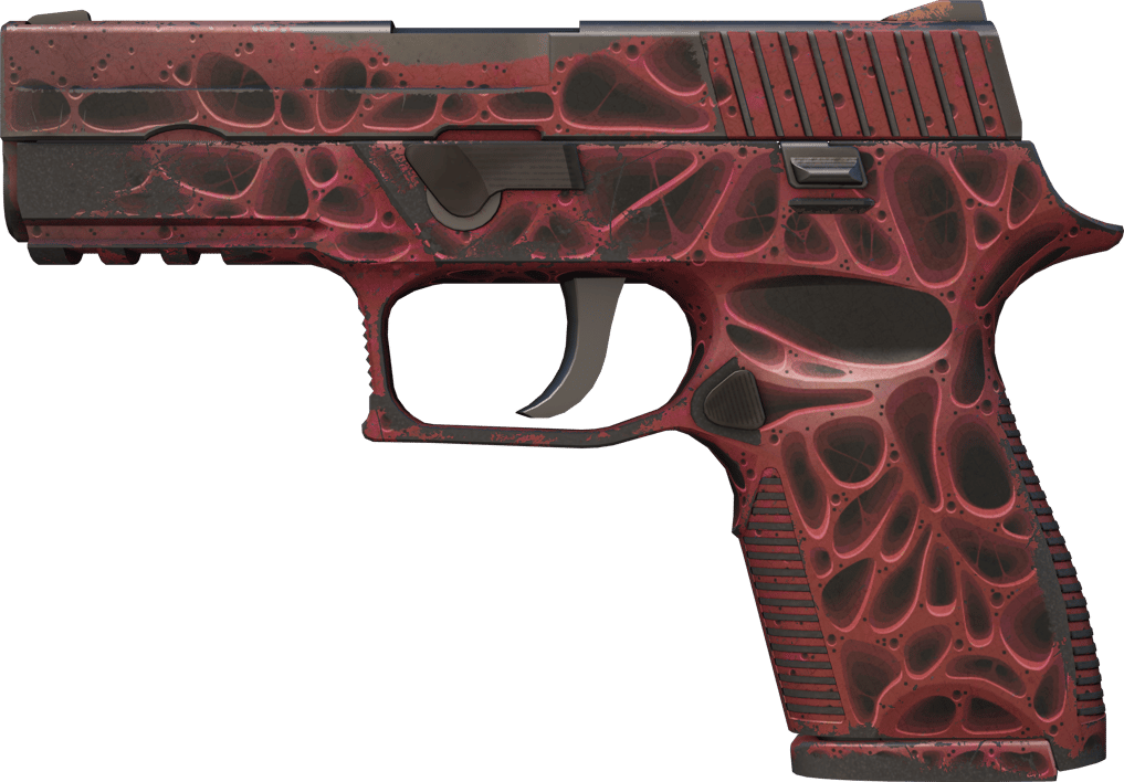 Preview image 1 of P250 | 侵蝕朽化 (重度磨損)