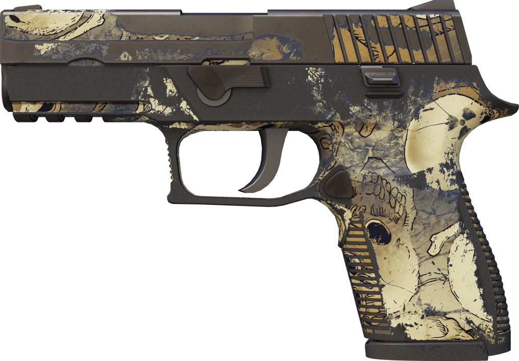 Preview image 1 of P250 | Contamination (BS - Mòn qua thực chiến)