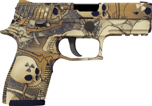 Preview image 2 of P250 | 오염 (막 출고된)