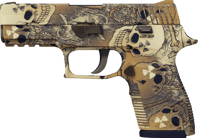 P250 | Contamination image