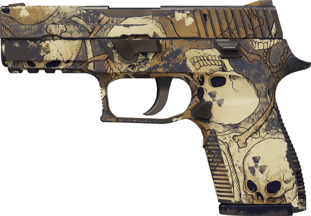 Preview image 1 of P250 | 오염 (현장에서 쓰인)