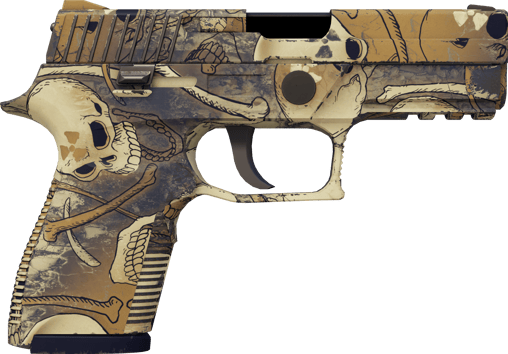 Preview image 2 of P250 | Kirlilik (Az Aşınmış)