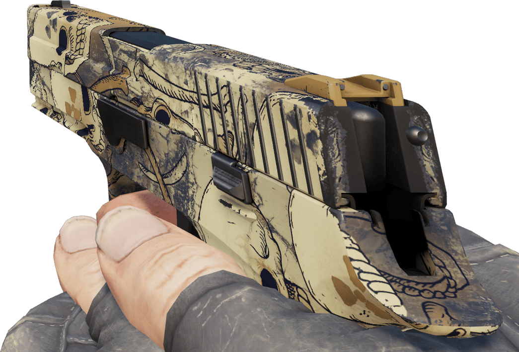 Preview image 3 of P250 | Saastunut (Vähän käytetty)