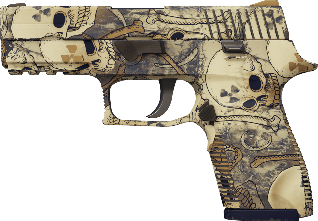 Preview image 1 of P250 | Saastunut (Vähän käytetty)