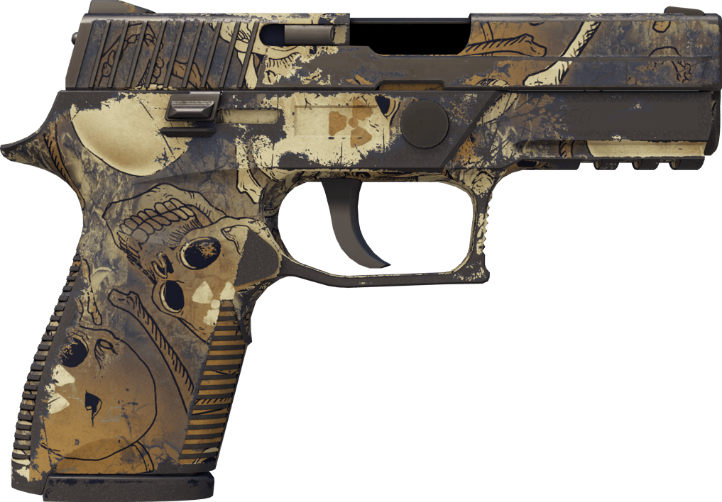 Preview image 2 of P250 | 오염 (꽤 닳은)