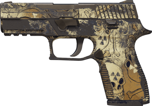 P250 | 오염 (꽤 닳은)