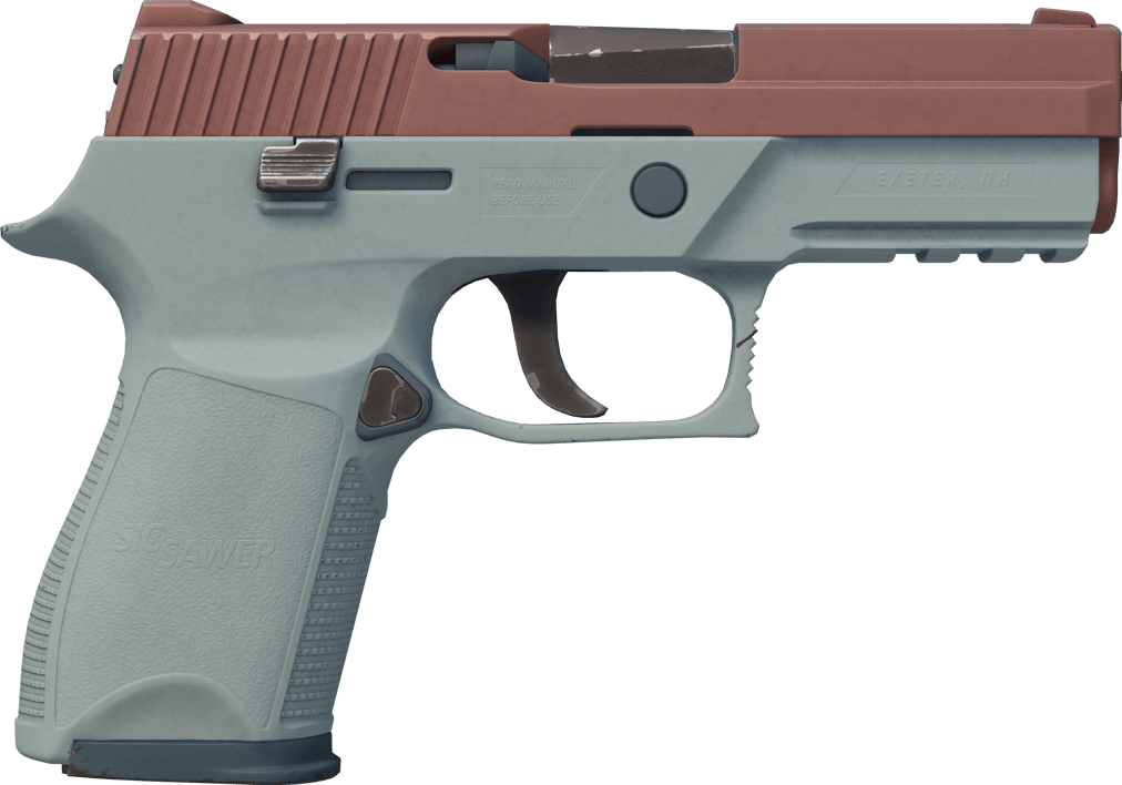 Preview image 2 of P250 | Bakır Oksit (Az Aşınmış)
