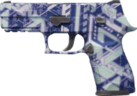 P250 | Digital Architect image