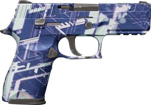 Preview image 2 of P250 | Digital Architect (Testato sul campo)