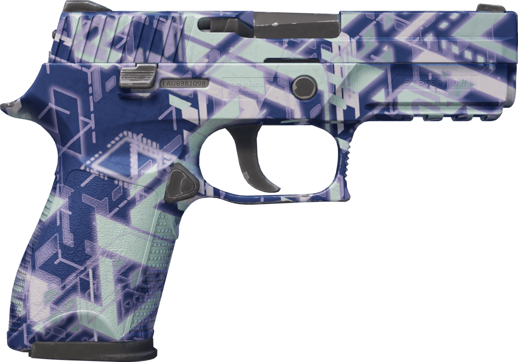 Preview image 2 of P250 | 数字架构师 (略有磨损)