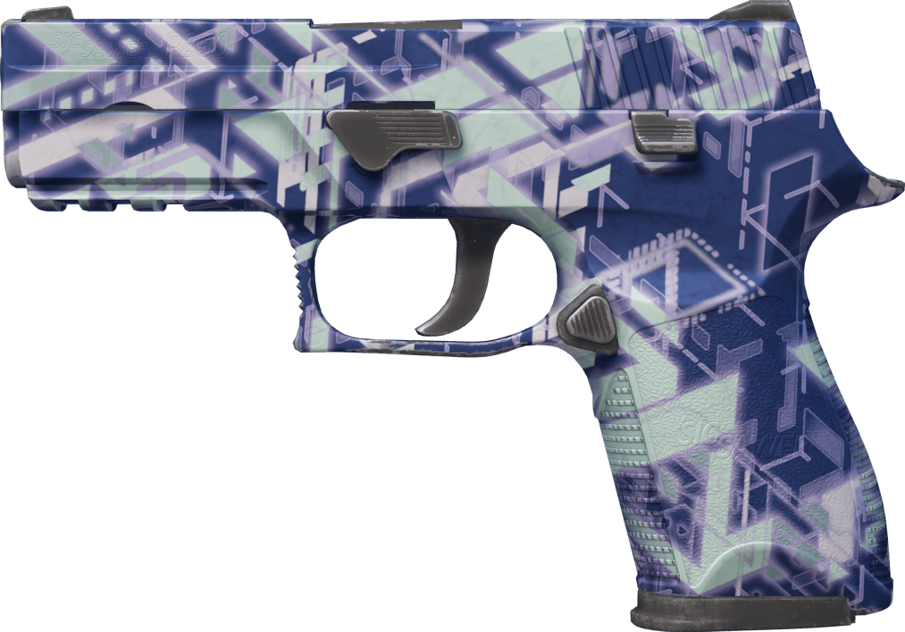 Preview image 1 of P250 | 数字架构师 (略有磨损)