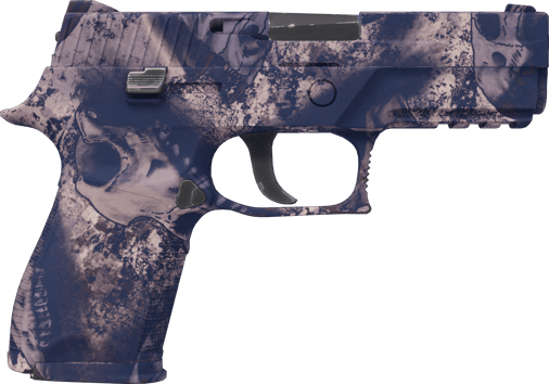 Preview image 2 of P250 | Sequía (Recién fabricado)