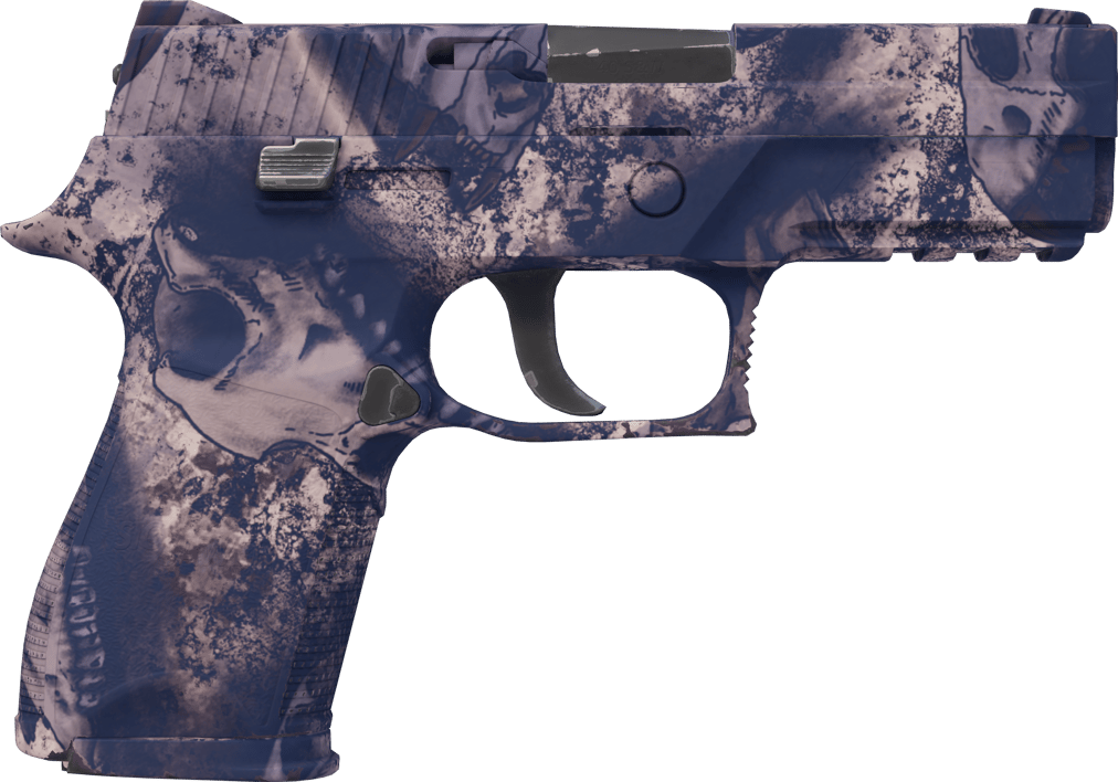 Preview image 2 of P250 | 天旱 (崭新出厂)