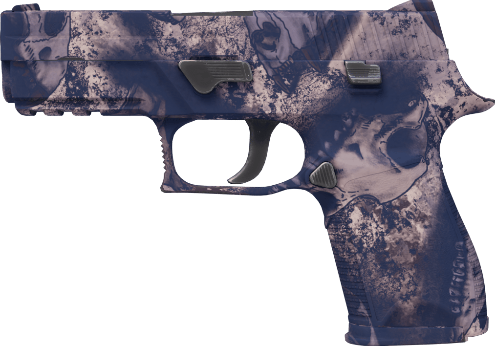 Preview image 1 of P250 | 天旱 (崭新出厂)