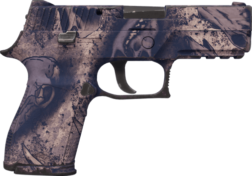 Preview image 2 of P250 | 天旱 (略有磨损)