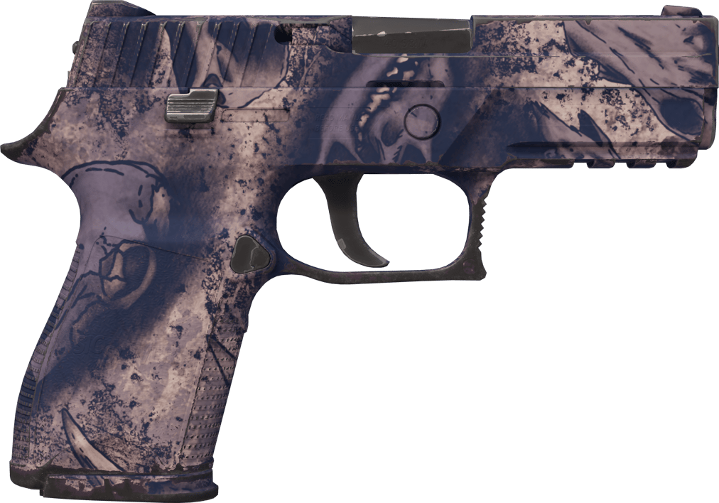 Preview image 2 of P250 | 天旱 (略有磨损)