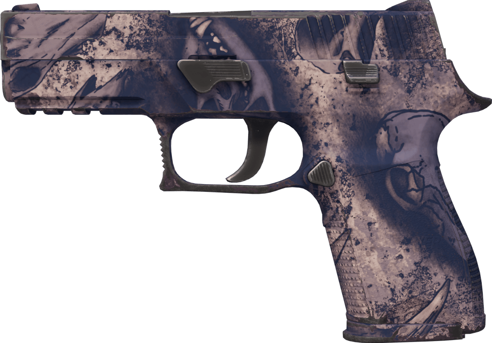 Preview image 1 of P250 | 天旱 (略有磨损)