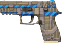 P250 | Exchanger image