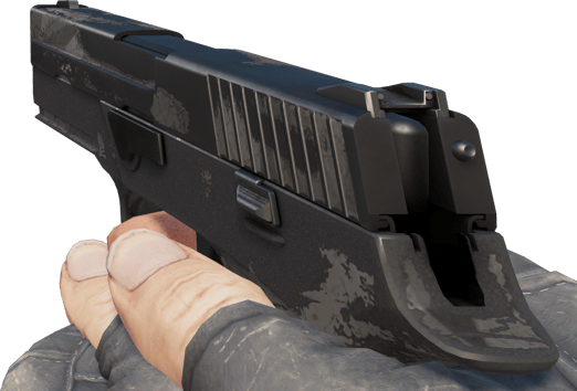 Preview image 3 of P250 | 단면 (전투로 닳고 닳은)