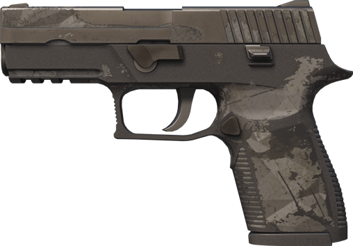 P250 | 단면 (전투로 닳고 닳은)