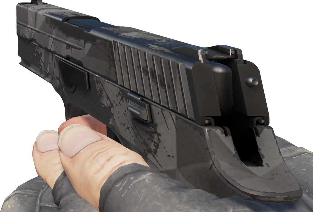 Preview image 3 of P250 | Facettes (Testée sur le terrain)