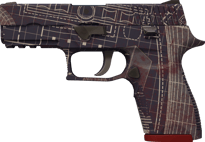 P250 | Facility Draft