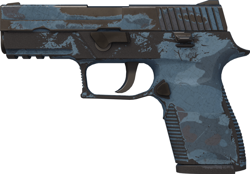 Preview image 1 of P250 | 暮色森林 (战痕累累)