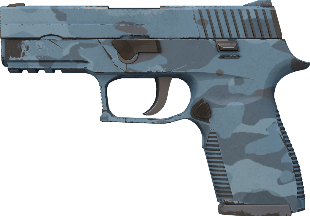 Preview image 1 of P250 | 暮色森林 (久经沙场)