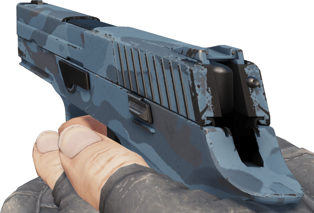 Preview image 3 of P250 | 暮色森林 (略有磨损)