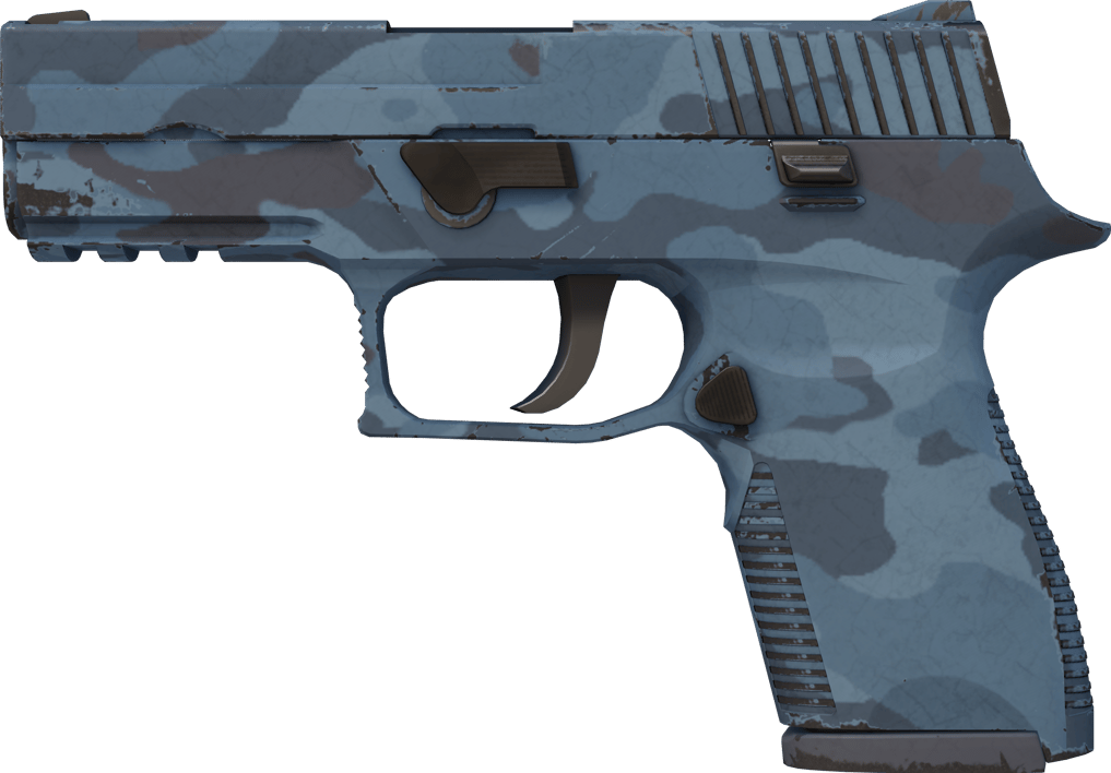 Preview image 1 of P250 | 暮色森林 (略有磨损)