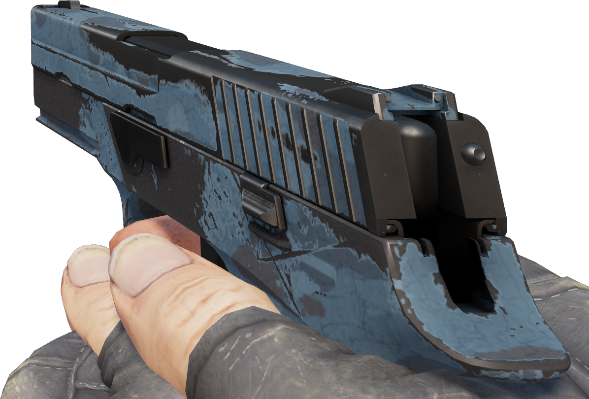 Preview image 4 of P250 | Nuit forestière (Usée)